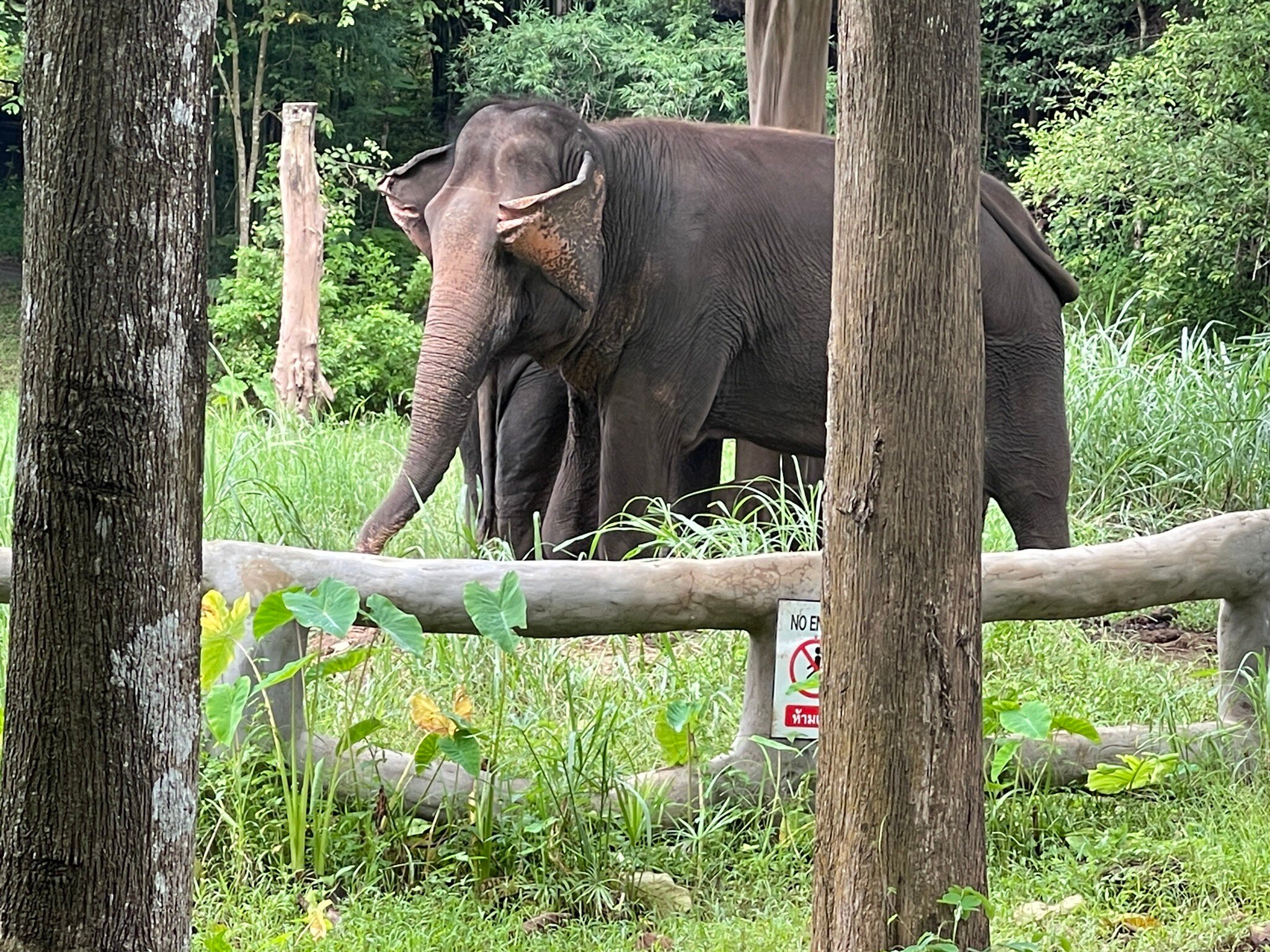 瑞平赛珊奢华酒店-官方