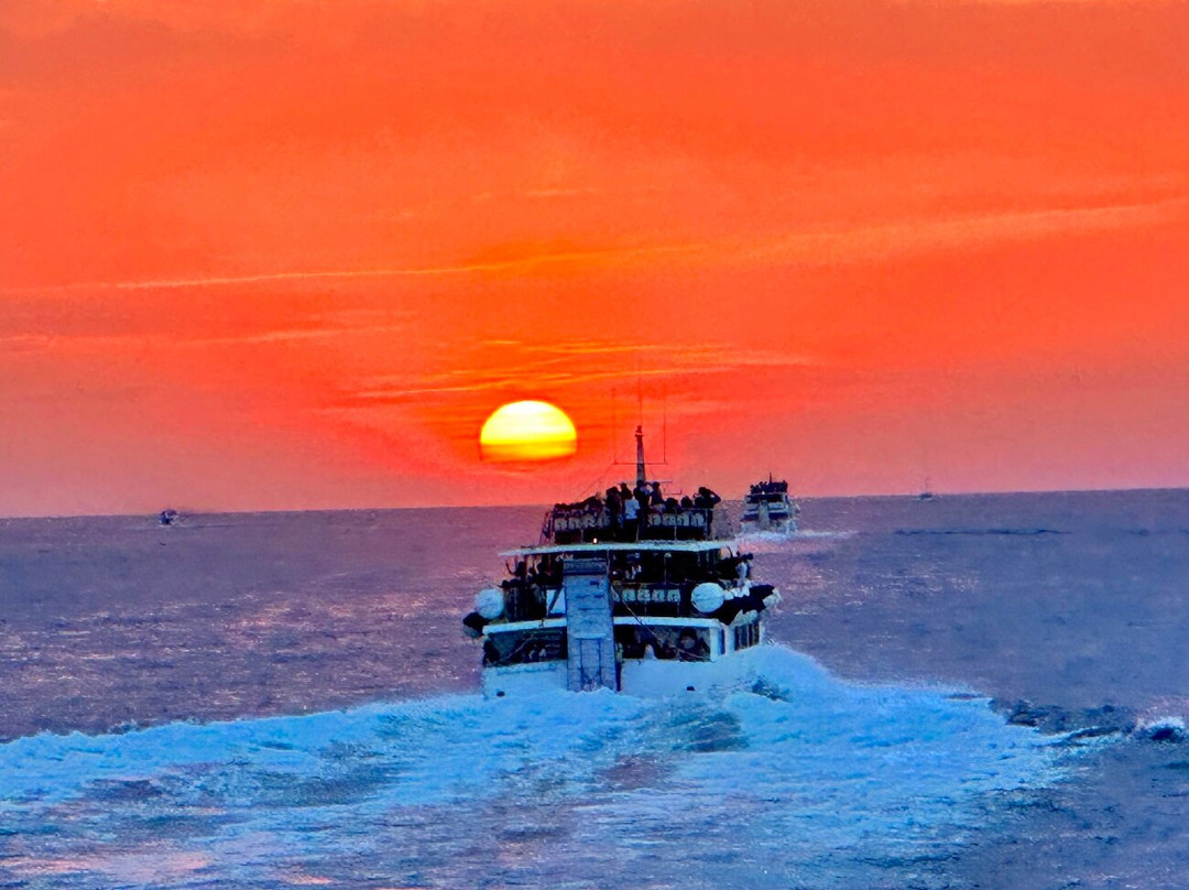 Tarnav Group-Milazzo必去景点