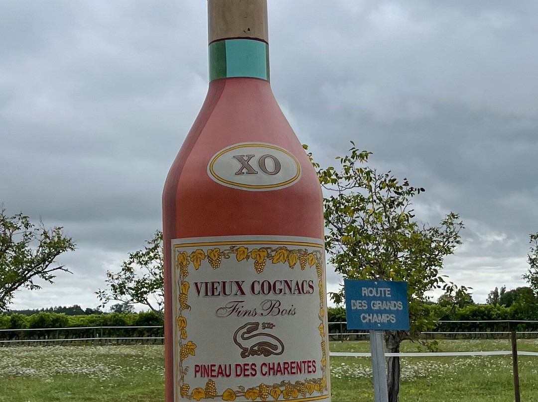 Ecomusée du Cognac景点图片