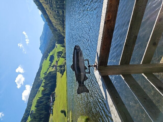 Feldrand hotel主图