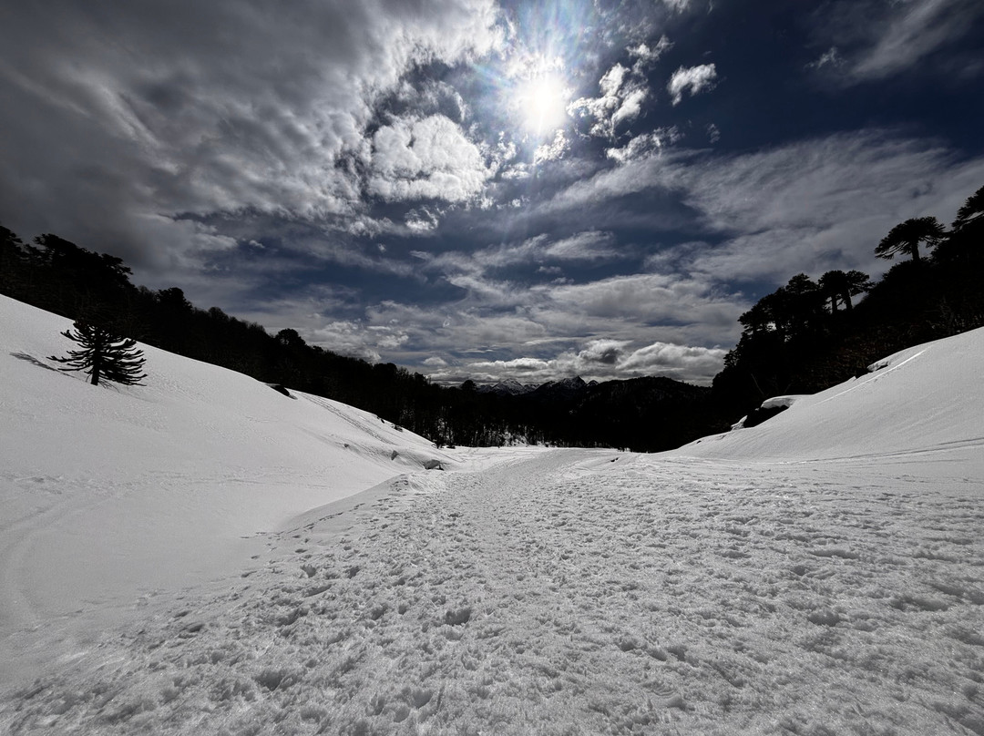 Vulcão Sollipulli-Melipeuco必去景点