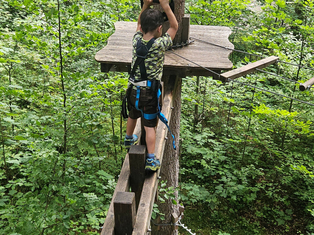 Adventurpark Achensee景点图片