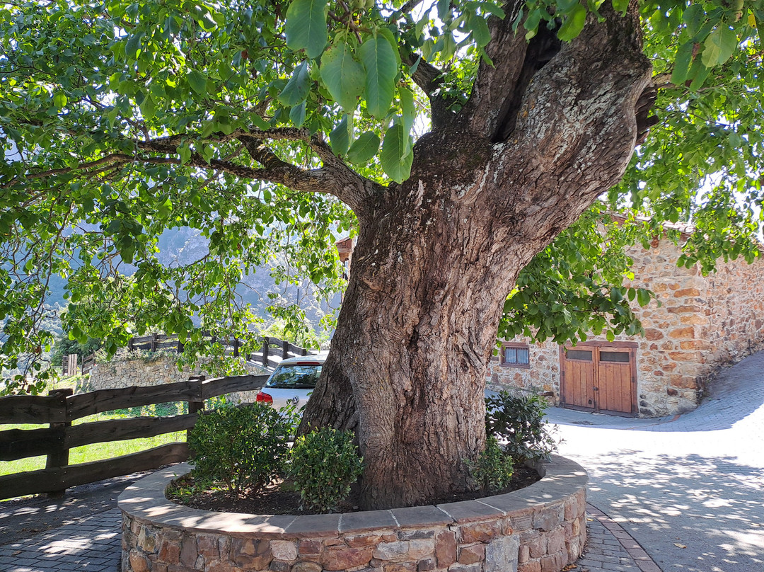 Barrio de Mogrovejo-Mogrovejo必去景点