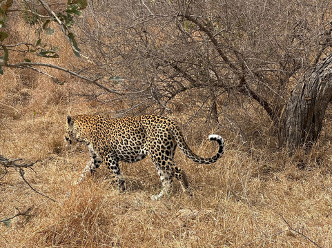 Bubezi Safaris, Tours & Transfers-雾观必去景点