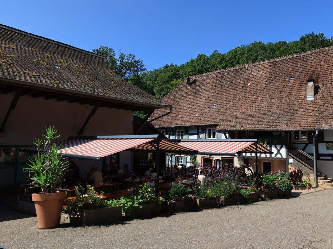 Ferme Auberge du Moulin des 7 Fontaines主图