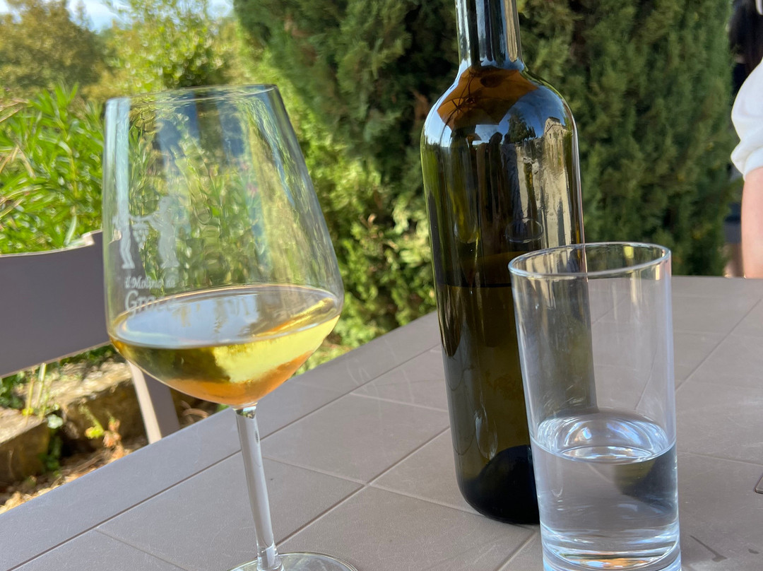 Il Molino di Grace Winery-Panzano in Chianti必去景点