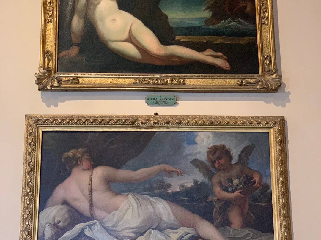 Collezioni Comunali d'Arte-博洛尼亚必去景点