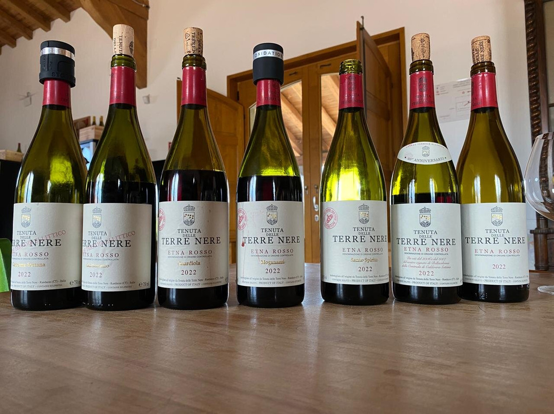 Tenuta delle Terre Nere Azienda Vinicola景点图片