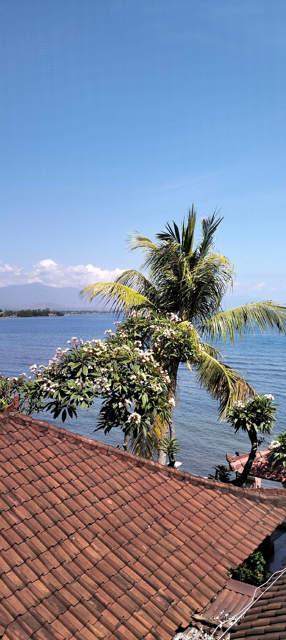 Wahyu Dana Hotel-官方