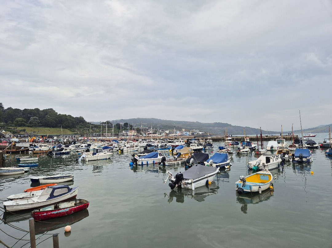 Lyme Regis Beach-莱姆里杰斯必去景点
