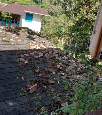 Charco Corazon主图