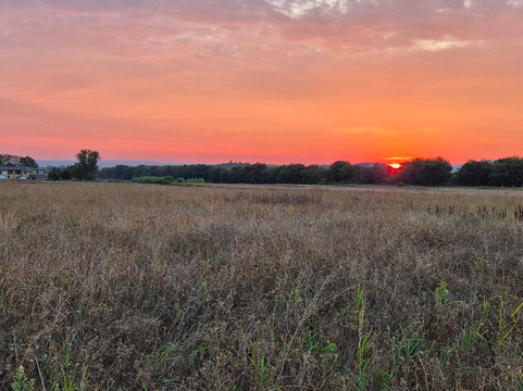 Farmhouse il Canneto主图