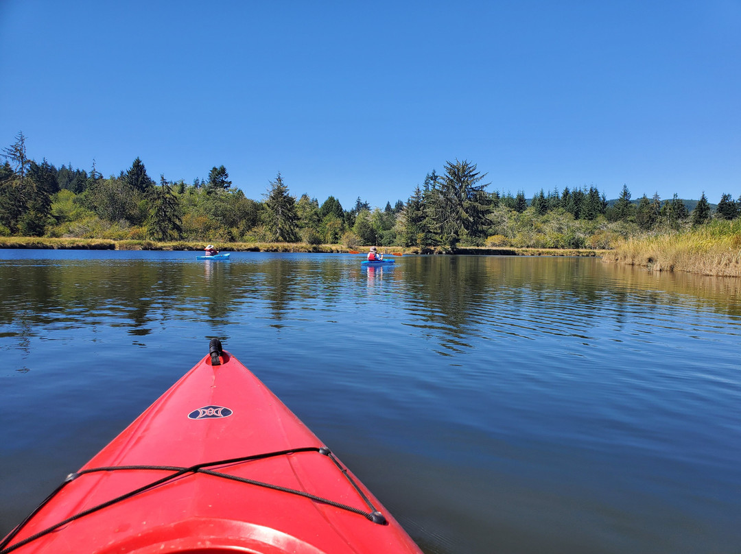 Willapa Paddle Adventures景点图片