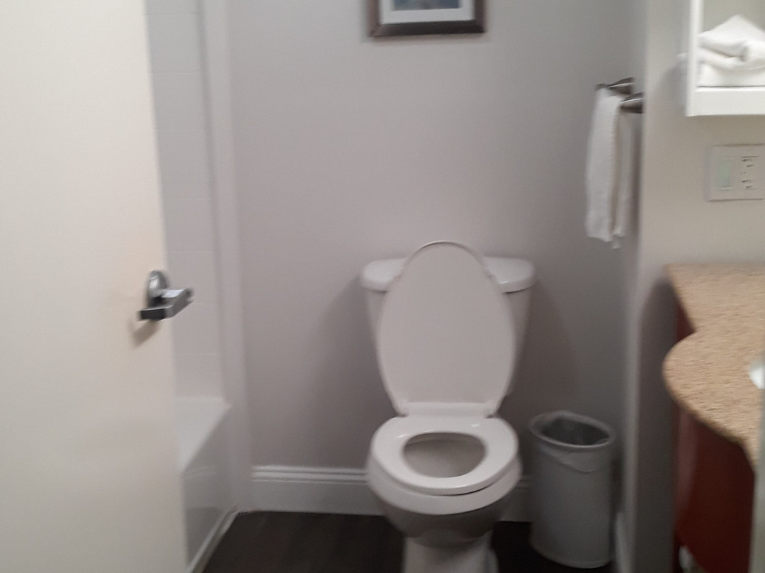 Holiday Inn Express & Suites Rolla - Univ Of Missouri S&t By IHG主图