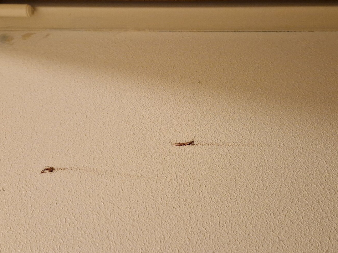 Logis Hôtel de France Rest. le Lucullus主图