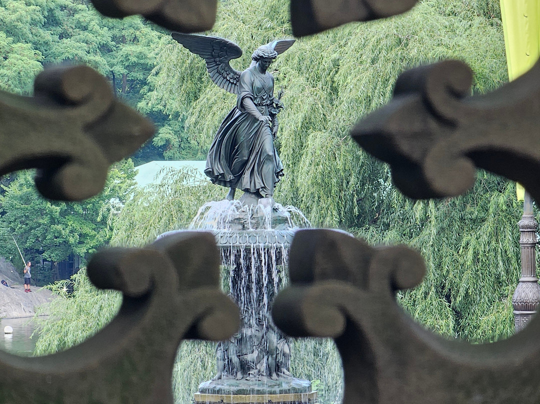 CentralParkExperience Sightseeing LLC-纽约市必去景点