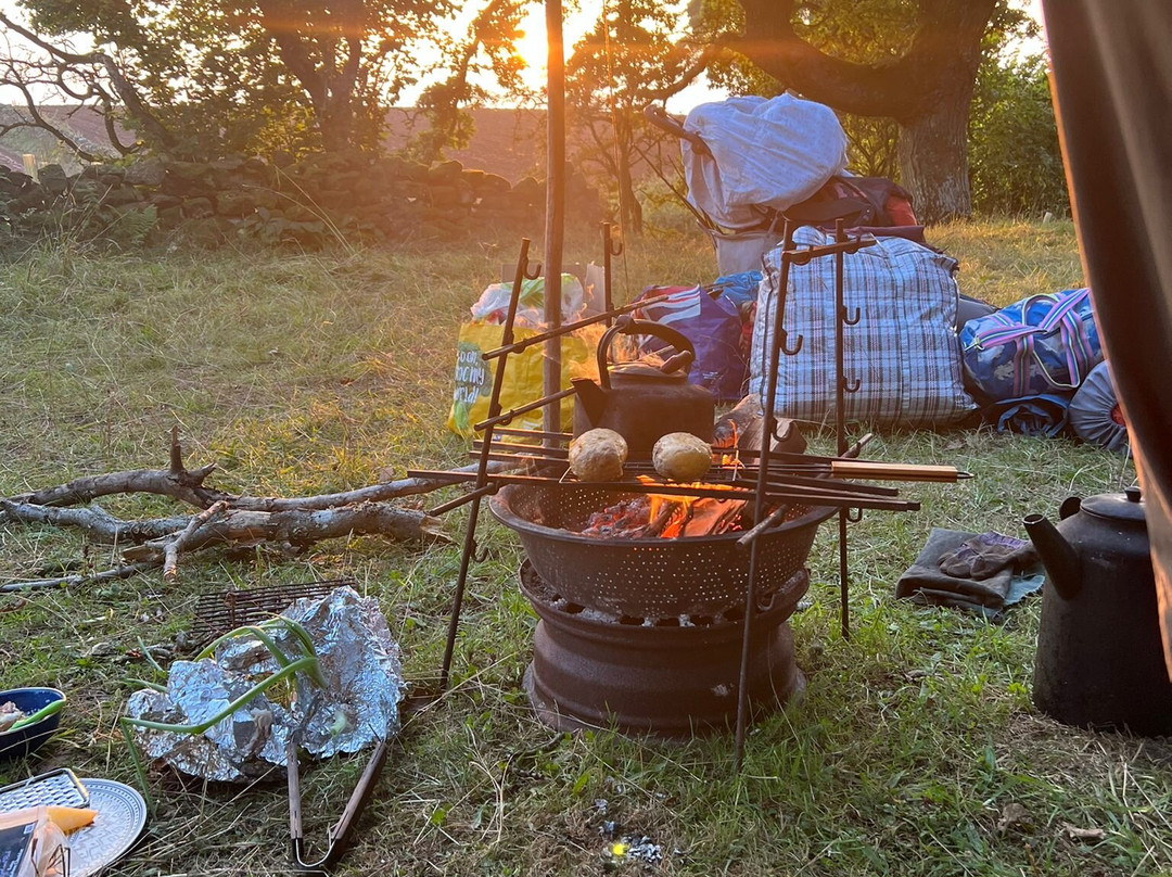 Wanderlusts Gypsy Caravans景点图片