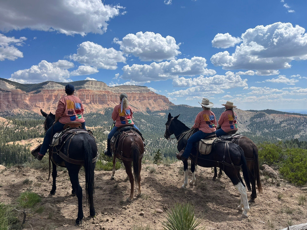 Mecham Outfitters-特罗皮克必去景点