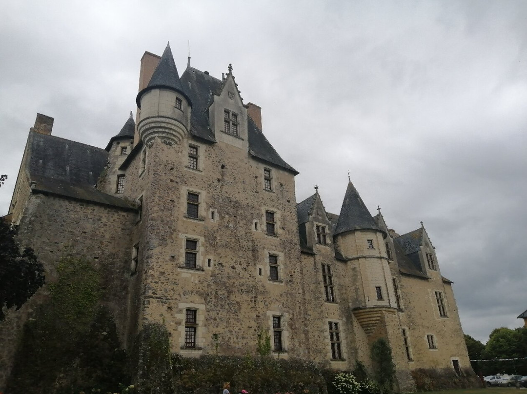 Château de Baugé景点图片