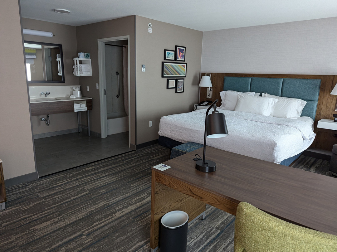 皮阿拉普希尔顿恒庭旅馆&套房酒店主图