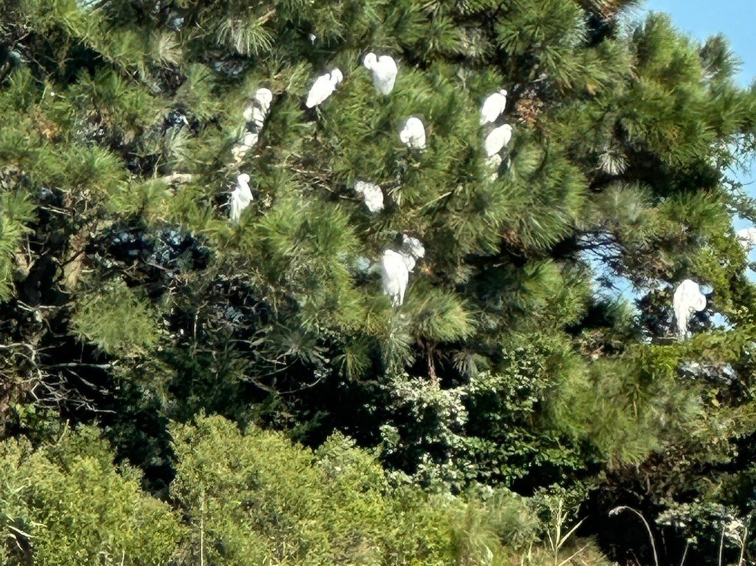 Gordons Pond-里霍博斯比奇必去景点