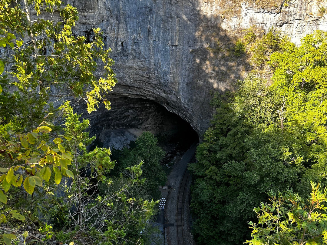 Natural Tunnel State Park景点图片