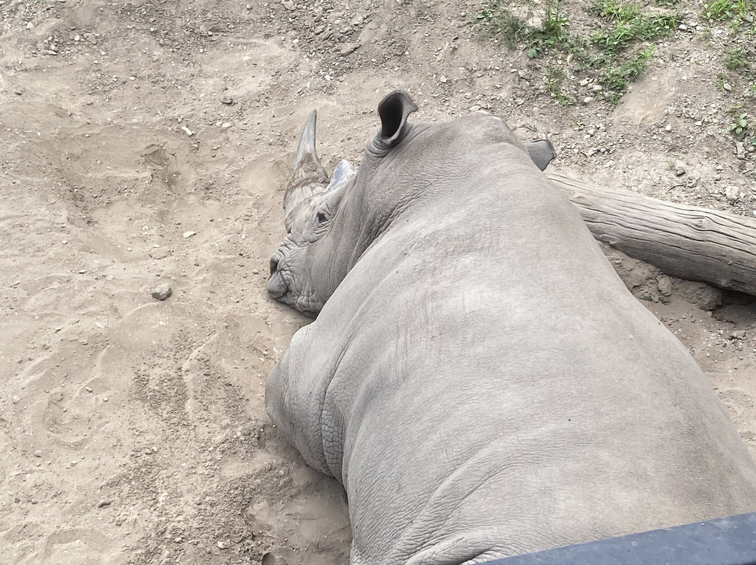 Potawatomi Zoo-南本德必去景点