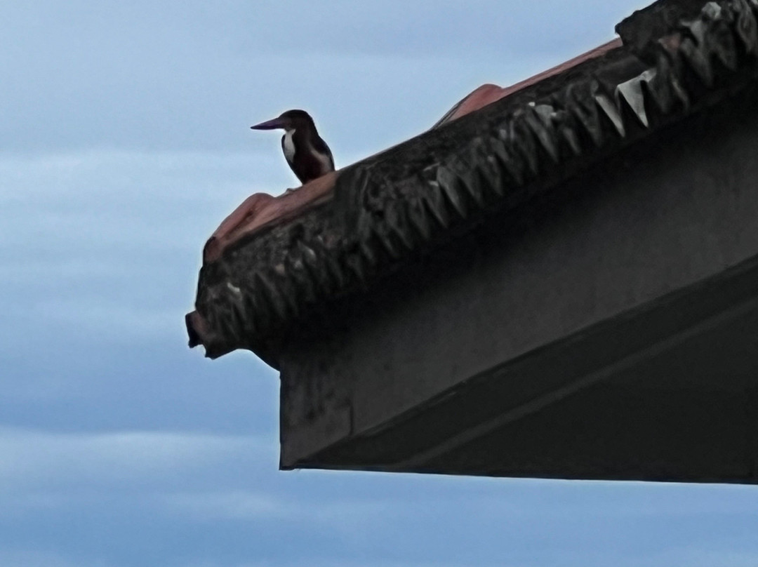 EKHO Lake House主图