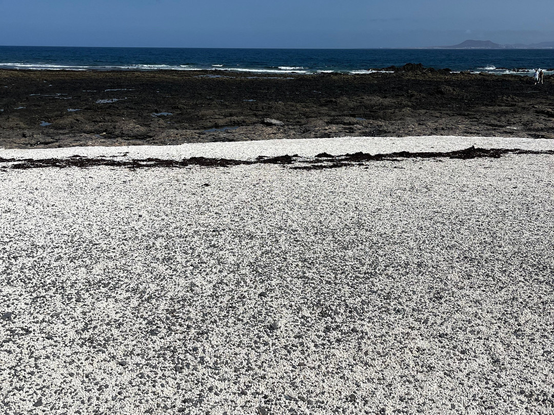 Playa del Mejillón-科拉雷侯必去景点