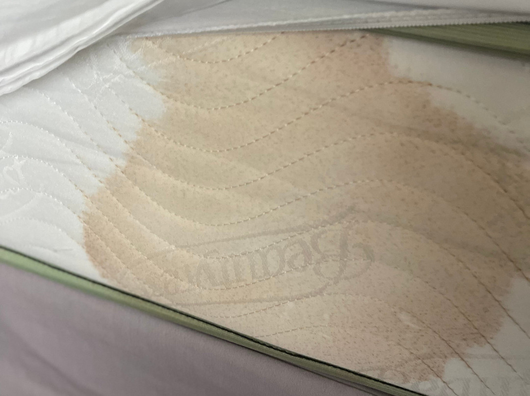 DeSoto House Hotel主图