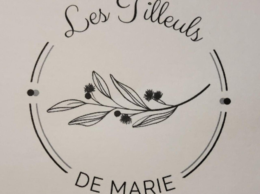 Les Tilleuls De Marie主图