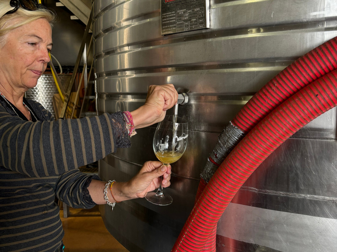Bodegas Mas Que Vinos景点图片