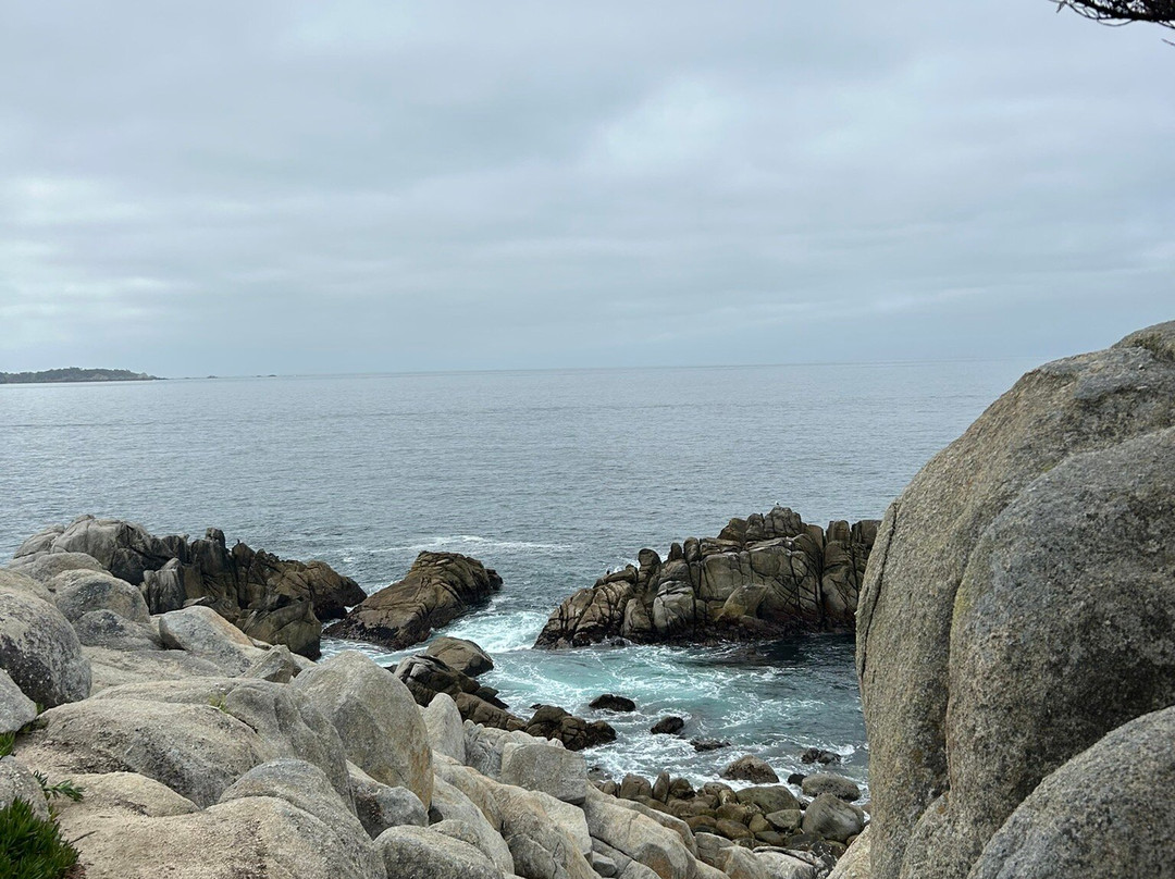 Pebble Beach-Del Monte Forest必去景点