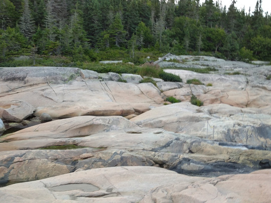 Cap-De-Bon-Desir Interpretation and Observation Centre-Les Bergeronnes必去景点