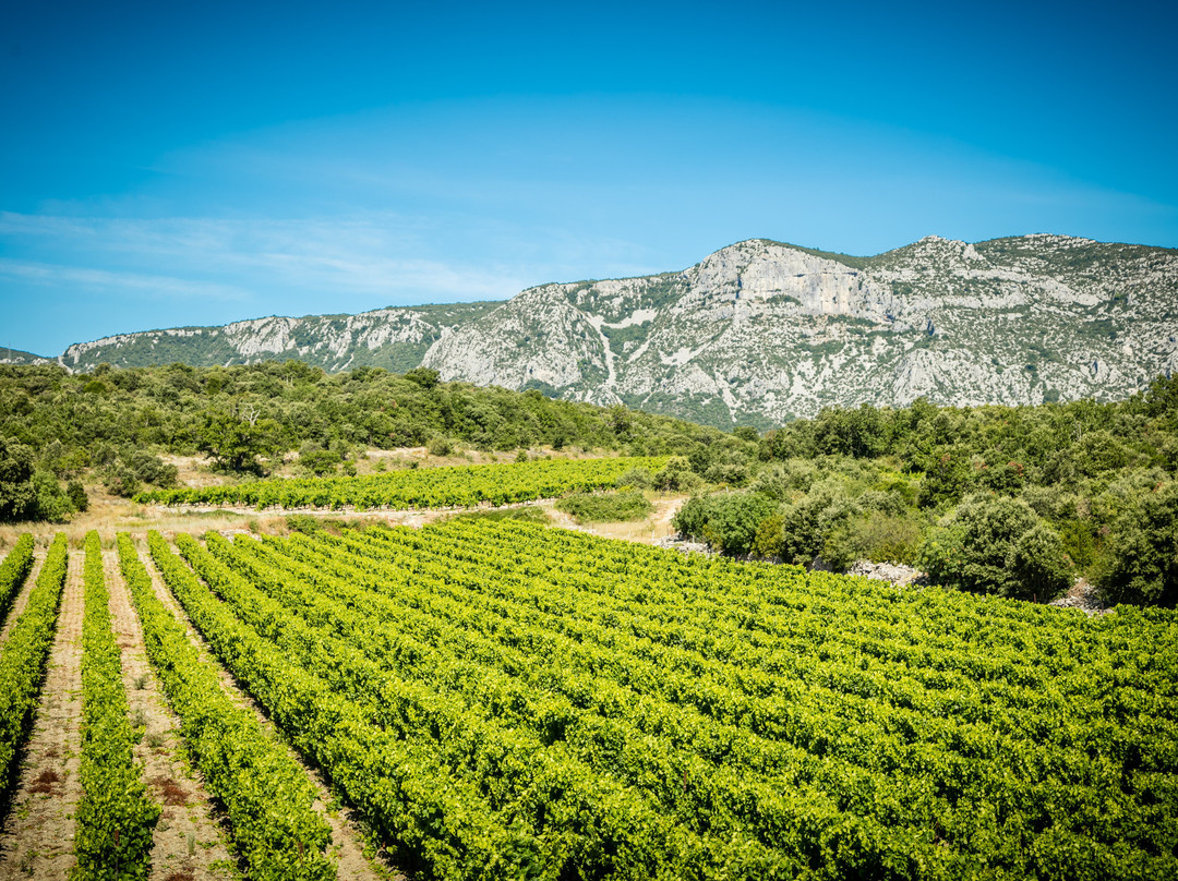 Domaine De Brunet-Causse de la Selle必去景点