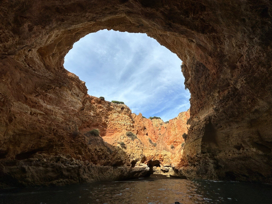 Wildwatch Algarve景点图片