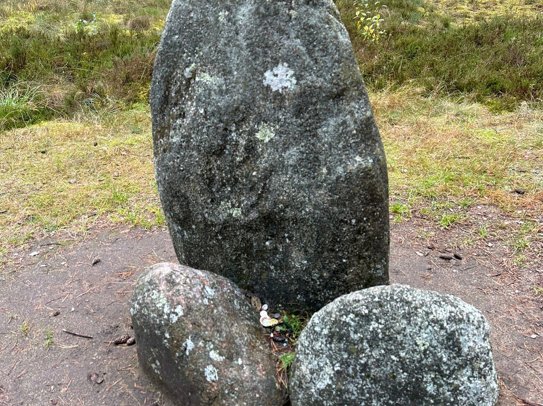 Stone Circles in Odry-Czersk必去景点