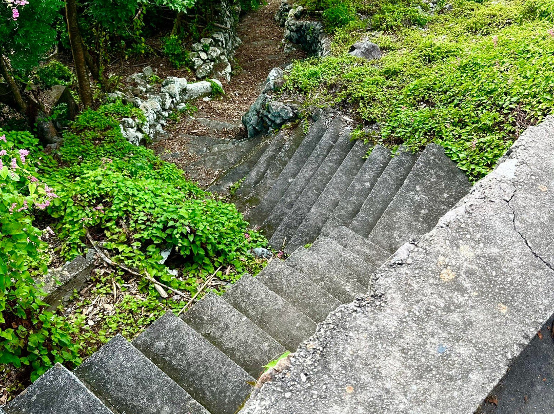 Ladder Bay-The Bottom必去景点