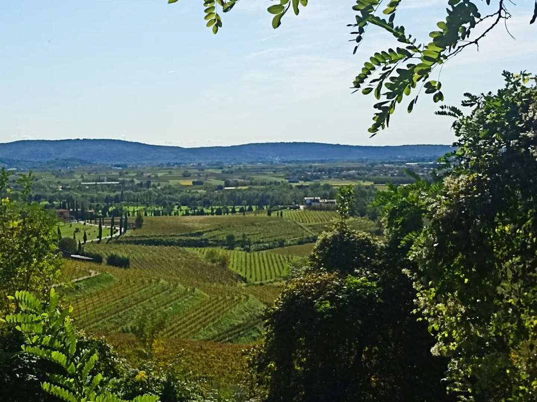 Sentiero delle Vigne alte景点图片