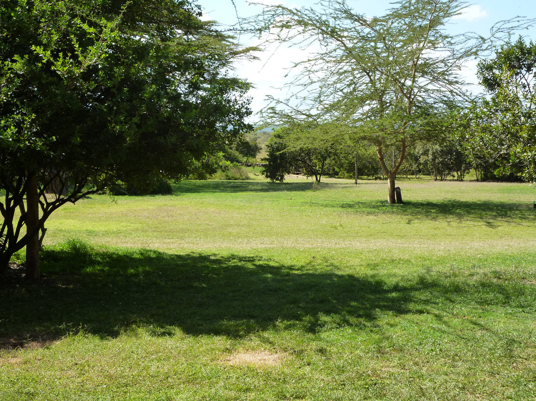 Ekorian's Mugie Camp主图