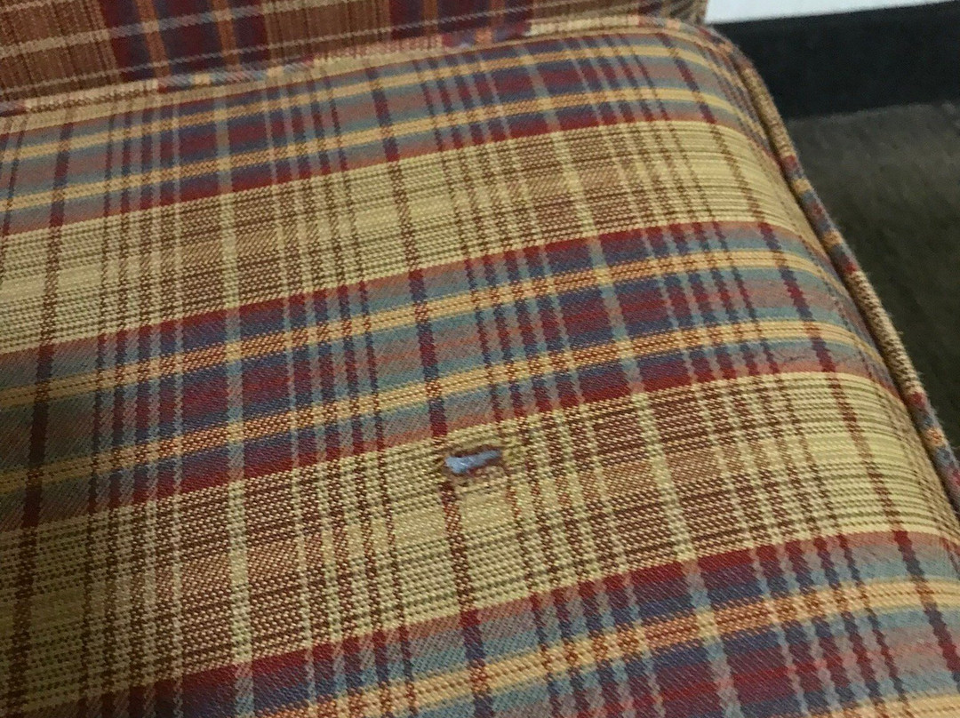 贝斯特韦斯特普勒斯商业街廊旅馆&套房酒店主图