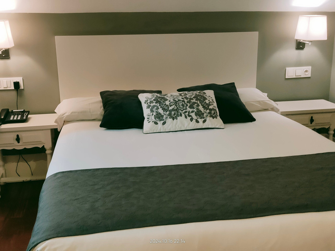 Hotel The Park Derio主图