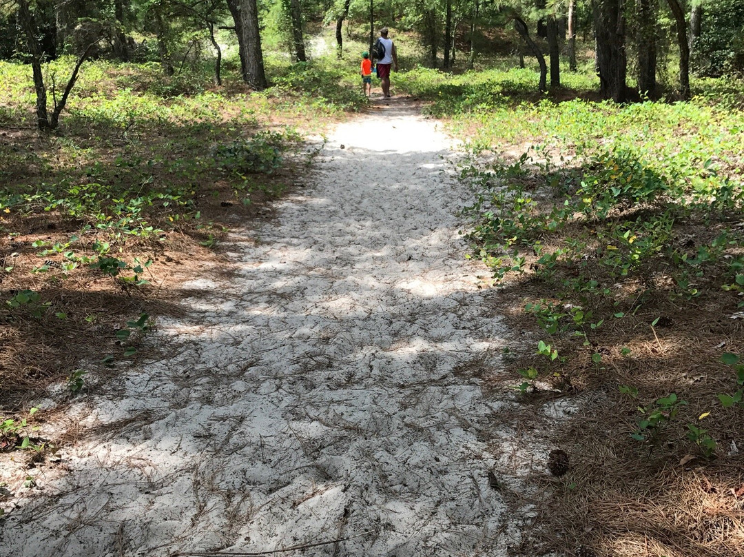 Savage Neck Dunes Dunes Natural Area Preserve-Eastville必去景点