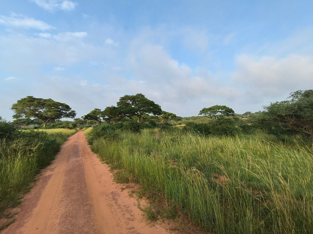 Jambo Eco Tours & Safaris-坎帕拉必去景点