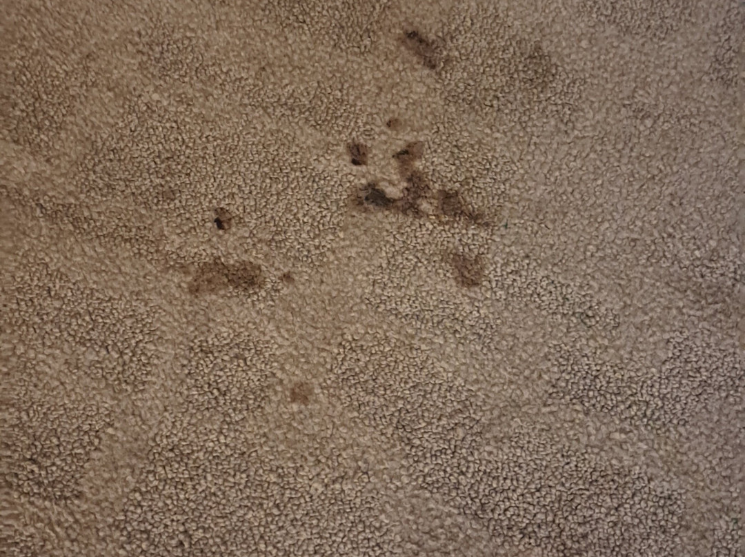 Delta Hotels Anaheim Garden Grove主图