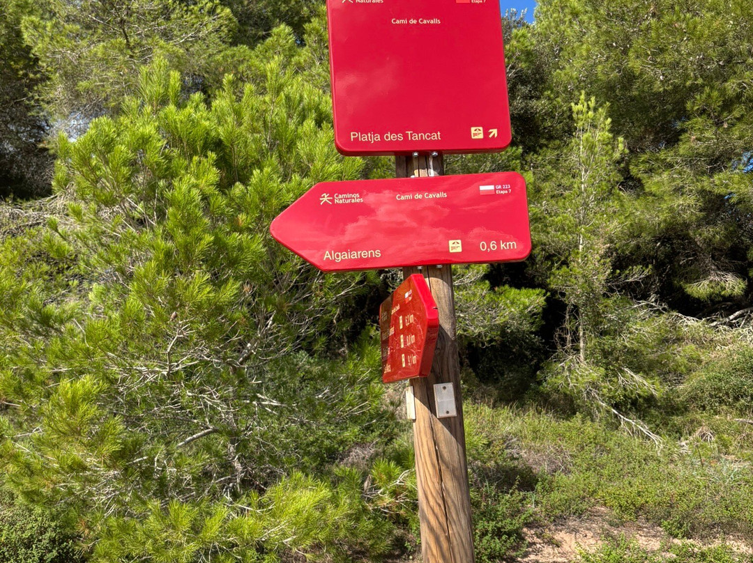 Platja Des Bot-Ciutadella de Menorca必去景点