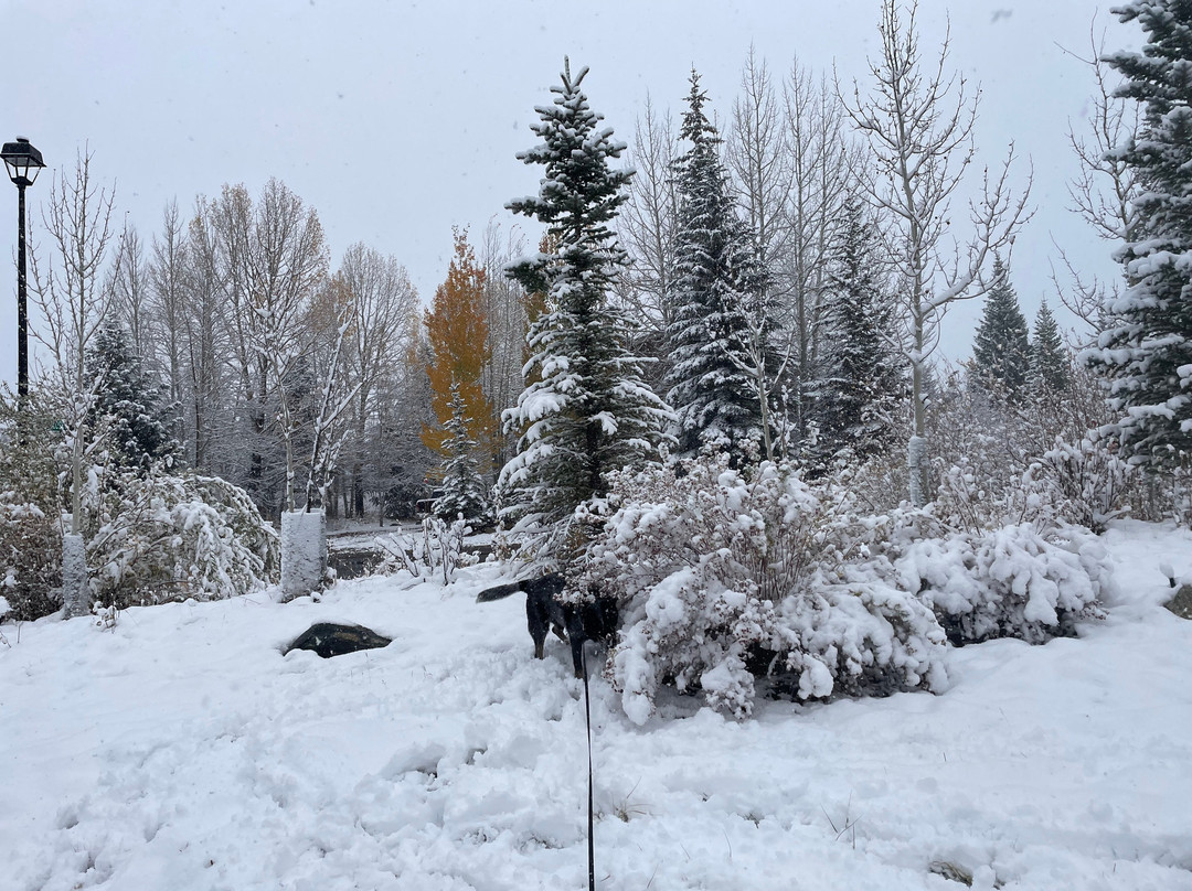 Walter Byron Park-弗里斯科必去景点