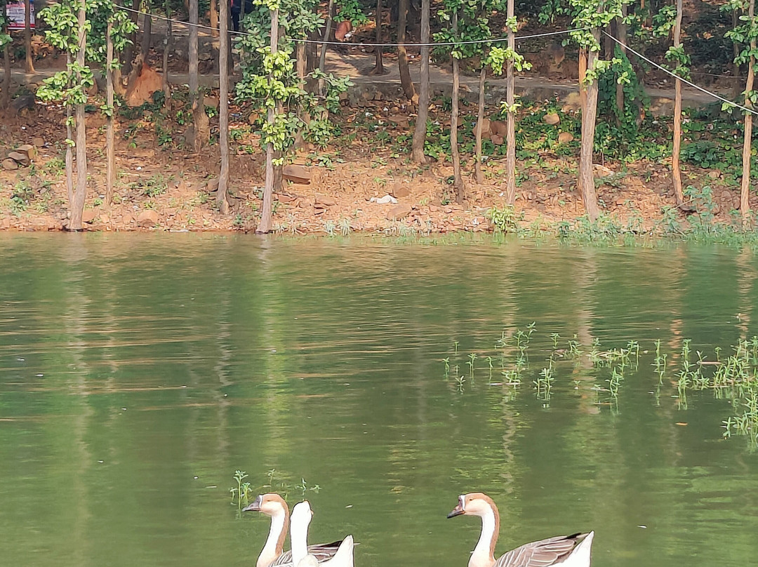 Chandil Dam景点图片