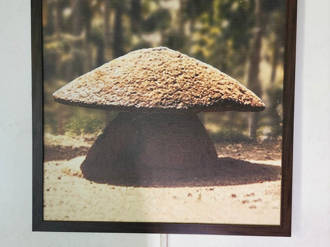 Thrissur District Heritage Museum景点图片