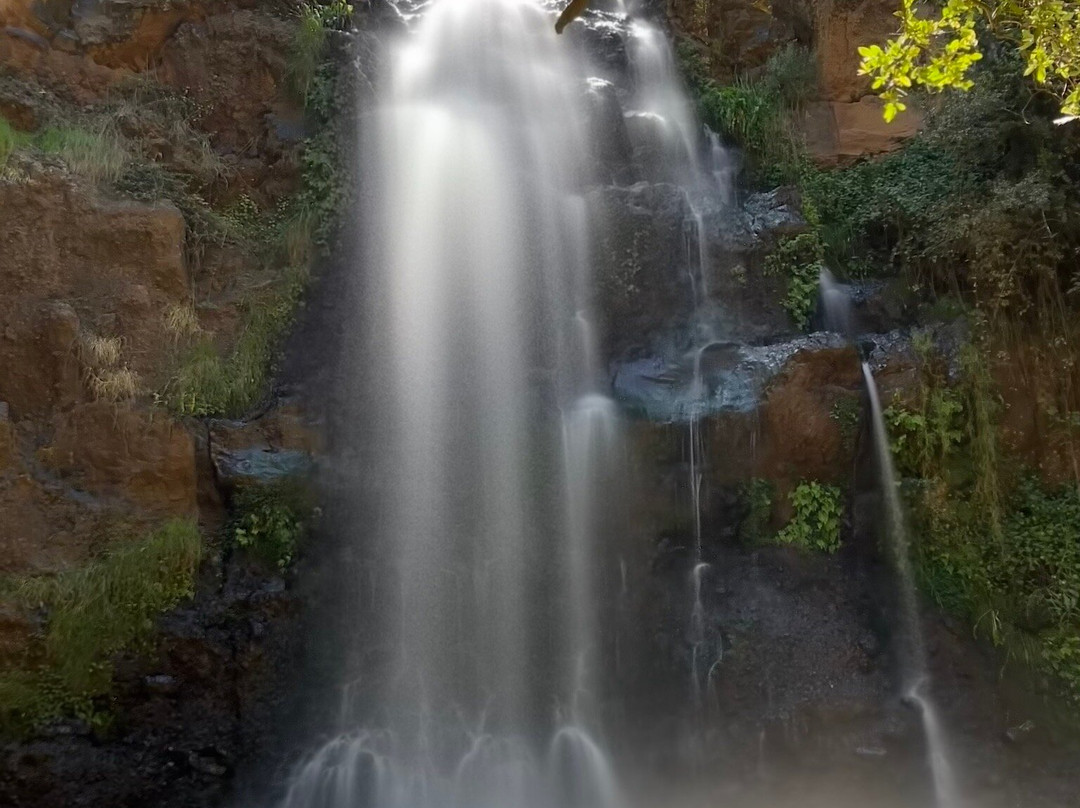 The Safari Company Ltd-Karen必去景点